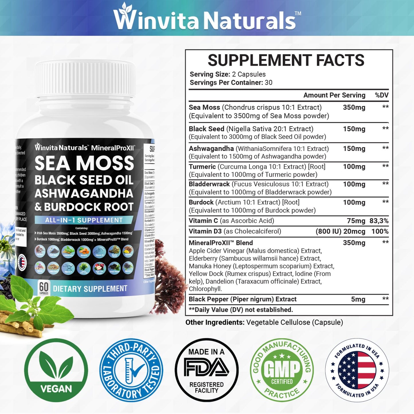 Clean Nutra Sea Moss, Black Seed Oil, Ashwagandha & Burdock Root